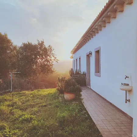 Il Giardino Di Alice B&B Bassacutena
